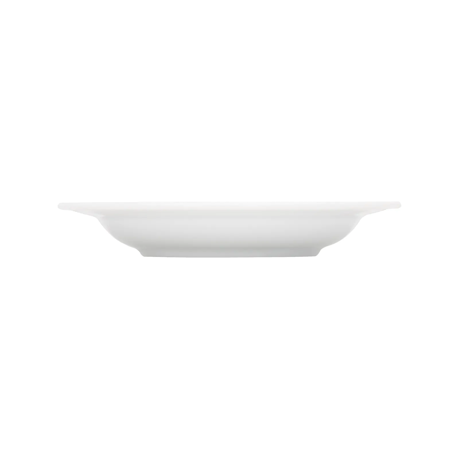 Bauscher Bonn Bistro Teller halbtief rund Fahne seitlich 6540119