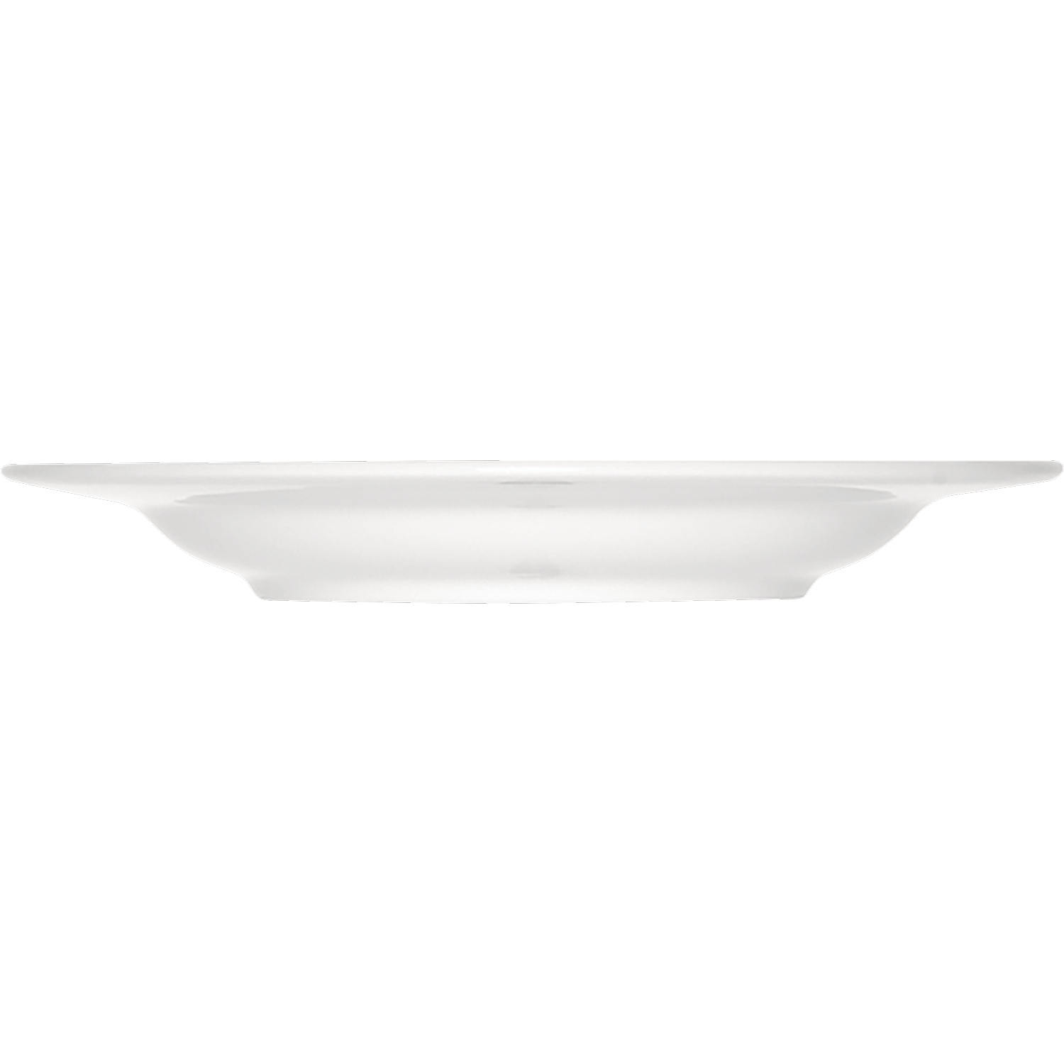 Bauscher 6700123 Teller tief Fahne seitlich, Schale, Suppenschüssel, Deckenleuchte